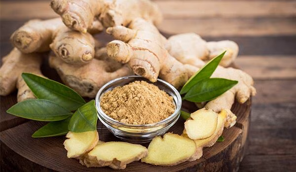 Ginger (Zingiber officinale) - Traditional Guyanese medicinal plant